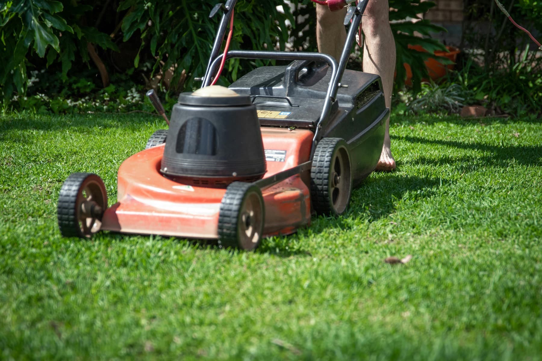 A mower cutting through a thick green lawn on a bright day.